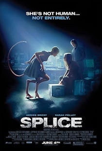 ดูหนังออนไลน์ฟรี Splice (2009) สัตว์สาวกลายพันธุ์ล่าสยองโลก