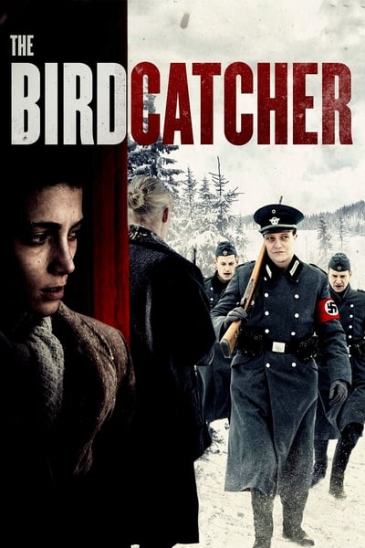 ดูหนังออนไลน์ฟรี The Birdcatcher (2019)