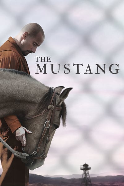 ดูหนังออนไลน์ฟรี The Mustang (2019)