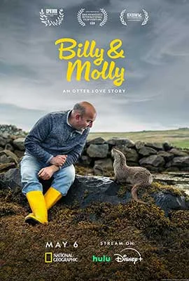 ดูหนังออนไลน์ฟรี Billy & Molly: An Otter Love Story (2024)